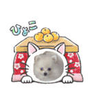 我が家のアイドル姫（個別スタンプ：29）