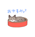 我が家の猫たちSAQ＆MOJA＆SAN（個別スタンプ：9）