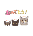 我が家の猫たちSAQ＆MOJA＆SAN（個別スタンプ：10）