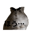 眉毛があってかわいいミッシェルと効果音（個別スタンプ：18）
