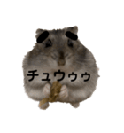 眉毛があってかわいいミッシェルと効果音（個別スタンプ：20）
