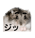 眉毛があってかわいいミッシェルと効果音（個別スタンプ：25）