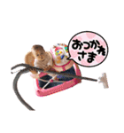 4kyoudais2（個別スタンプ：15）