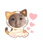 4kyoudais2（個別スタンプ：24）