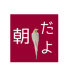 オカメインコ「こゆきちゃん」の朝（個別スタンプ：7）