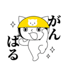 ねこヘルメットちゃんのあいさつスタンプ（個別スタンプ：6）