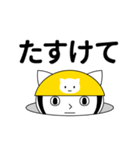 ねこヘルメットちゃんのあいさつスタンプ（個別スタンプ：18）