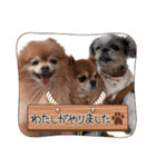 友爽、友逢、ふぅ、永遠（個別スタンプ：29）