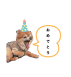 友爽、友逢、ふぅ、永遠（個別スタンプ：39）