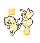 毎日使えるクセ猫スタンプ⑤〜DE＆I編〜（個別スタンプ：6）