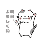 毎日使えるクセ猫スタンプ⑤〜DE＆I編〜（個別スタンプ：12）
