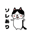 毎日使えるクセ猫スタンプ⑤〜DE＆I編〜（個別スタンプ：13）
