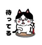 毎日使えるクセ猫スタンプ⑤〜DE＆I編〜（個別スタンプ：14）