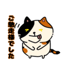 毎日使えるクセ猫スタンプ⑤〜DE＆I編〜（個別スタンプ：18）