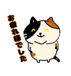 毎日使えるクセ猫スタンプ⑤〜DE＆I編〜（個別スタンプ：20）