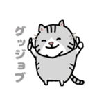 毎日使えるクセ猫スタンプ⑤〜DE＆I編〜（個別スタンプ：21）
