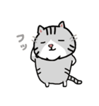 毎日使えるクセ猫スタンプ⑤〜DE＆I編〜（個別スタンプ：22）