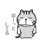 毎日使えるクセ猫スタンプ⑤〜DE＆I編〜（個別スタンプ：24）