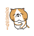 毎日使えるクセ猫スタンプ⑤〜DE＆I編〜（個別スタンプ：25）