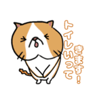 毎日使えるクセ猫スタンプ⑤〜DE＆I編〜（個別スタンプ：26）