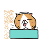 毎日使えるクセ猫スタンプ⑤〜DE＆I編〜（個別スタンプ：27）