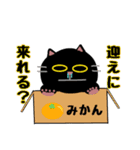 毎日使えるクセ猫スタンプ⑤〜DE＆I編〜（個別スタンプ：31）