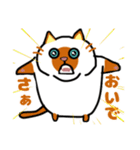 毎日使えるクセ猫スタンプ⑤〜DE＆I編〜（個別スタンプ：34）