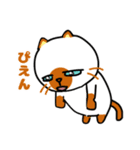 毎日使えるクセ猫スタンプ⑤〜DE＆I編〜（個別スタンプ：36）