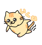 毎日使えるクセ猫スタンプ⑤〜DE＆I編〜（個別スタンプ：37）