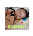 陽翔さんとガロ（個別スタンプ：10）