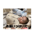 陽翔さんとガロ（個別スタンプ：23）