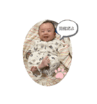 陽翔さんとガロ（個別スタンプ：26）