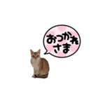 はる パート3（個別スタンプ：3）