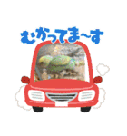 めちゃかわいいインコ（個別スタンプ：5）