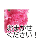 *花*カーネーション ていねいVer.（個別スタンプ：13）