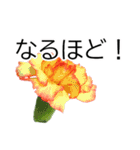 *花*カーネーション ていねいVer.（個別スタンプ：15）