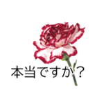 *花*カーネーション ていねいVer.（個別スタンプ：18）