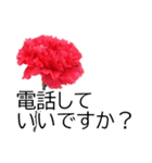 *花*カーネーション ていねいVer.（個別スタンプ：20）