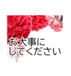 *花*カーネーション ていねいVer.（個別スタンプ：22）