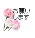 *花*カーネーション ていねいVer.（個別スタンプ：23）