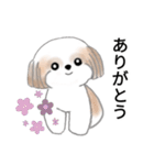 Stickers_Shih Tzu_j シーズースタンプ（個別スタンプ：1）