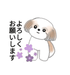 Stickers_Shih Tzu_j シーズースタンプ（個別スタンプ：4）