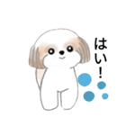 Stickers_Shih Tzu_j シーズースタンプ（個別スタンプ：5）