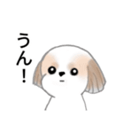 Stickers_Shih Tzu_j シーズースタンプ（個別スタンプ：6）