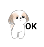 Stickers_Shih Tzu_j シーズースタンプ（個別スタンプ：7）