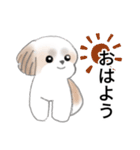 Stickers_Shih Tzu_j シーズースタンプ（個別スタンプ：9）