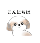 Stickers_Shih Tzu_j シーズースタンプ（個別スタンプ：10）