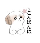 Stickers_Shih Tzu_j シーズースタンプ（個別スタンプ：11）