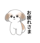 Stickers_Shih Tzu_j シーズースタンプ（個別スタンプ：12）