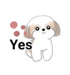 Stickers_Shih Tzu_j シーズースタンプ（個別スタンプ：13）